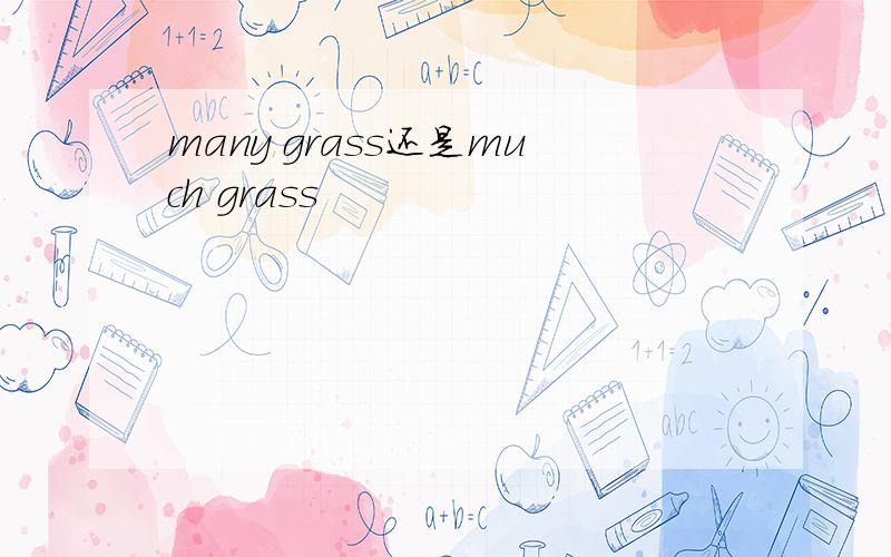 many grass还是much grass