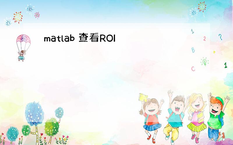 matlab 查看ROI