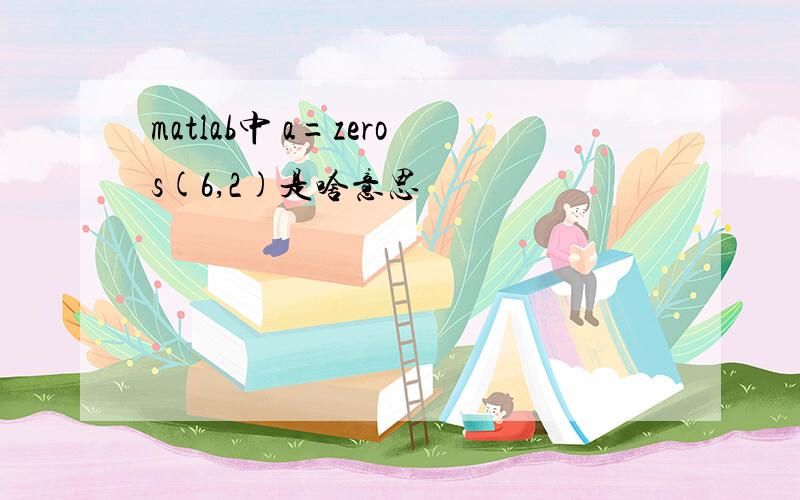 matlab中 a=zeros(6,2)是啥意思