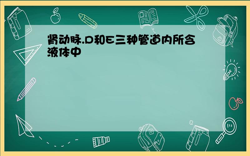 肾动脉.D和E三种管道内所含液体中