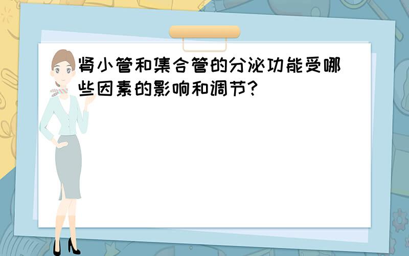 肾小管和集合管的分泌功能受哪些因素的影响和调节?