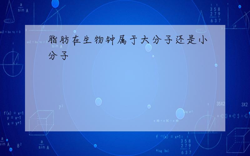 脂肪在生物钟属于大分子还是小分子