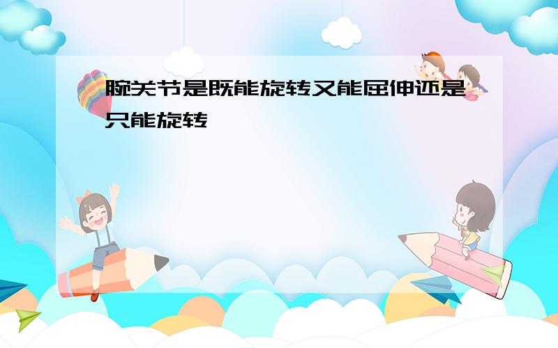 腕关节是既能旋转又能屈伸还是只能旋转