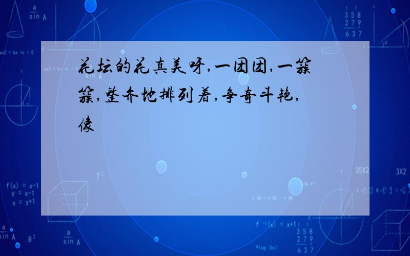 花坛的花真美呀,一团团,一簇簇,整齐地排列着,争奇斗艳,像