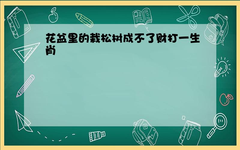 花盆里的栽松树成不了财打一生肖