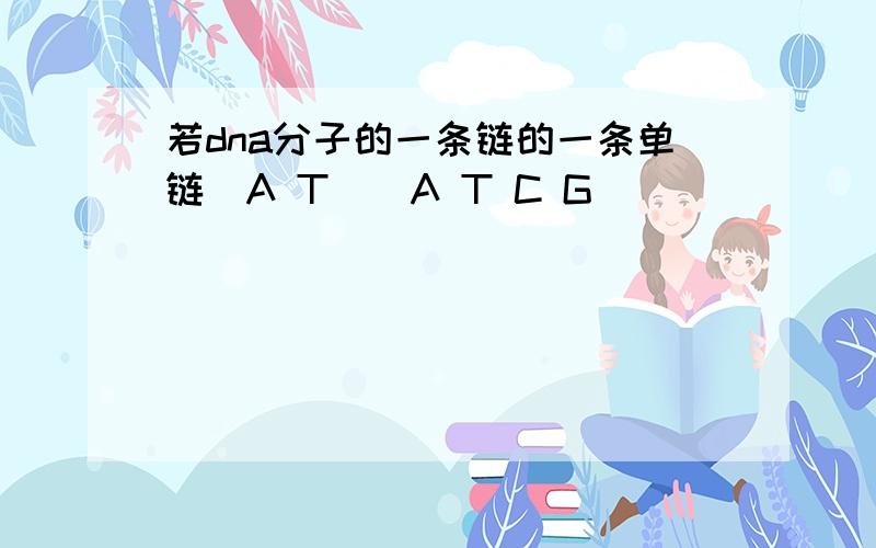 若dna分子的一条链的一条单链(A T)(A T C G)