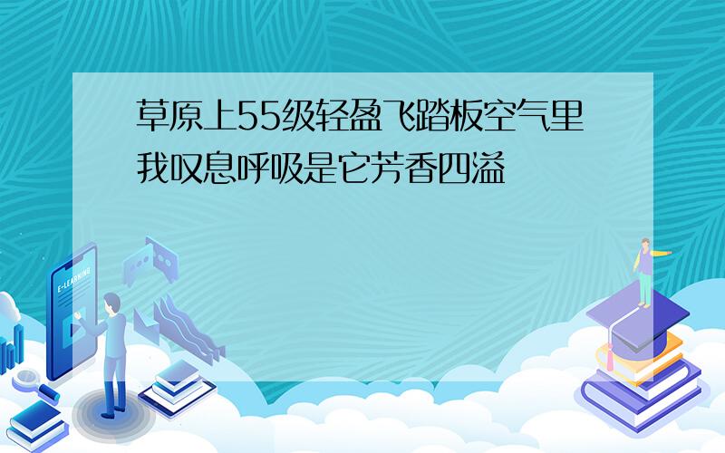 草原上55级轻盈飞踏板空气里我叹息呼吸是它芳香四溢