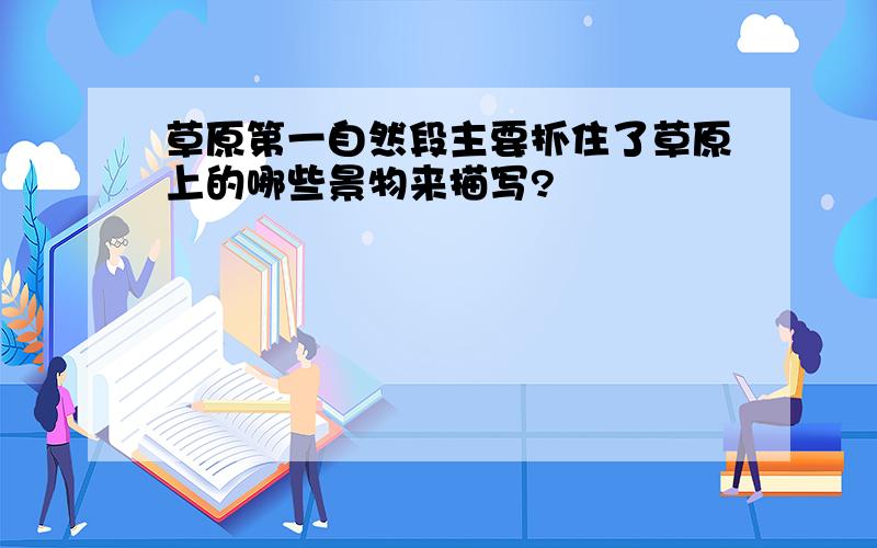 草原第一自然段主要抓住了草原上的哪些景物来描写?