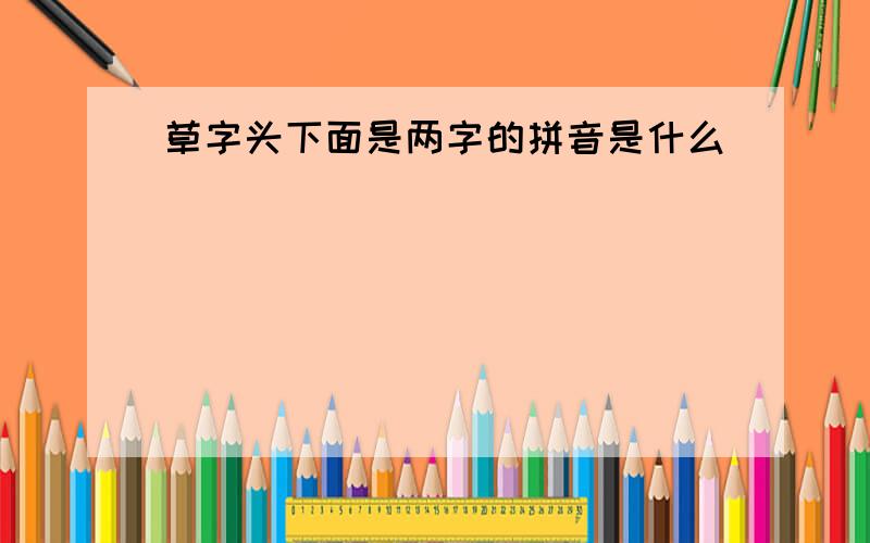 草字头下面是两字的拼音是什么