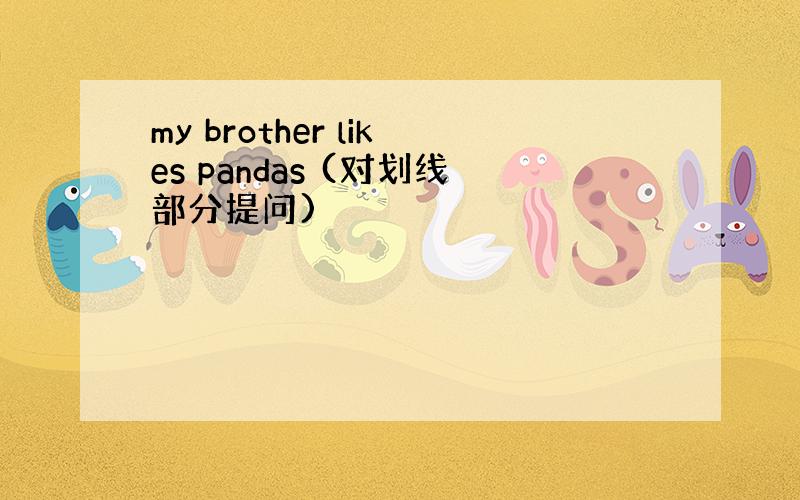 my brother likes pandas (对划线部分提问)