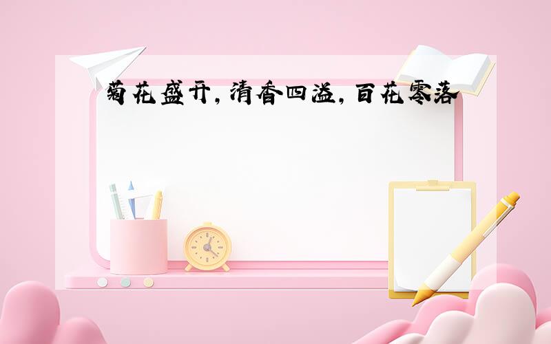 菊花盛开,清香四溢,百花零落