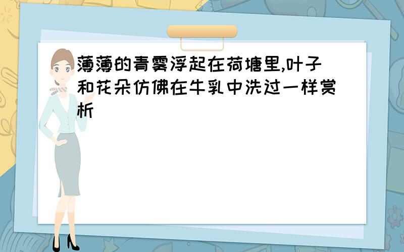 薄薄的青雾浮起在荷塘里,叶子和花朵仿佛在牛乳中洗过一样赏析