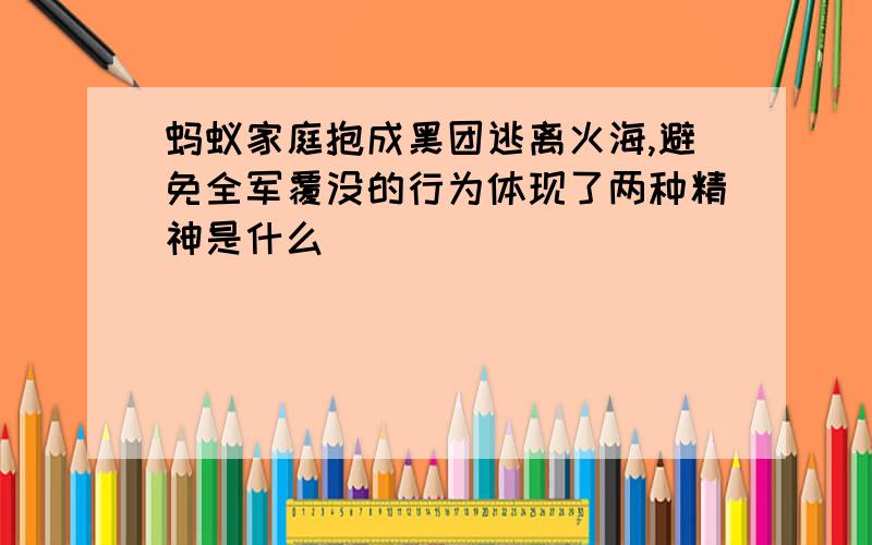 蚂蚁家庭抱成黑团逃离火海,避免全军覆没的行为体现了两种精神是什么