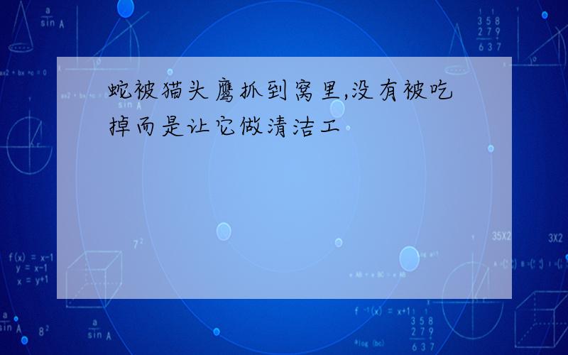 蛇被猫头鹰抓到窝里,没有被吃掉而是让它做清洁工