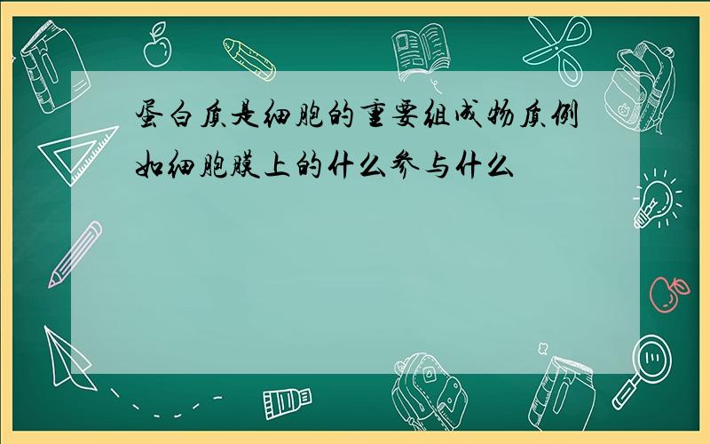 蛋白质是细胞的重要组成物质例如细胞膜上的什么参与什么