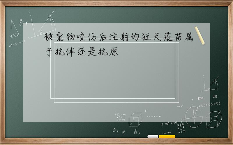 被宠物咬伤后注射的狂犬疫苗属于抗体还是抗原