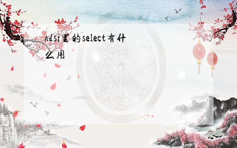 ndsi里的select有什么用