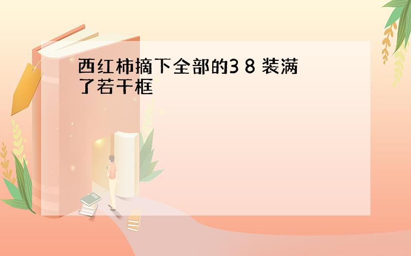 西红柿摘下全部的3 8 装满了若干框