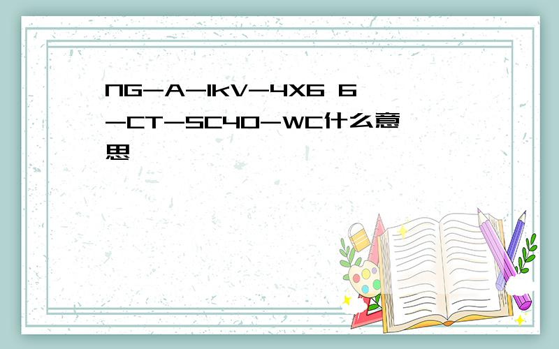 NG-A-1kV-4X6 6-CT-SC40-WC什么意思