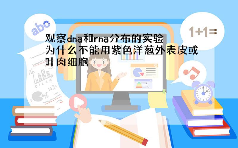 观察dna和rna分布的实验为什么不能用紫色洋葱外表皮或叶肉细胞