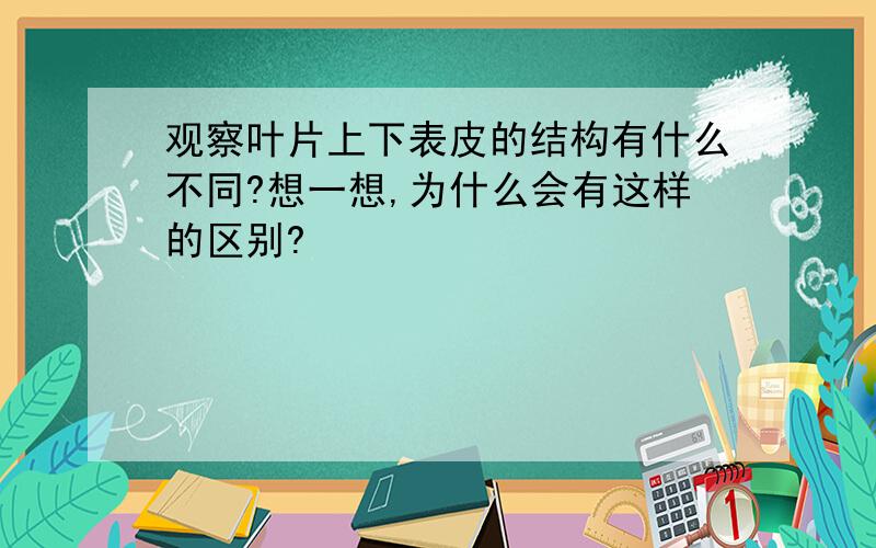 观察叶片上下表皮的结构有什么不同?想一想,为什么会有这样的区别?