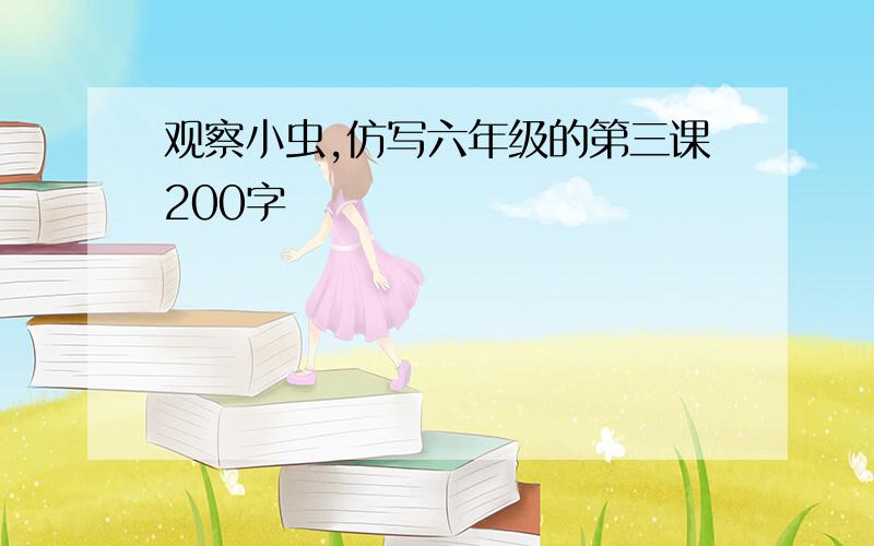 观察小虫,仿写六年级的第三课200字