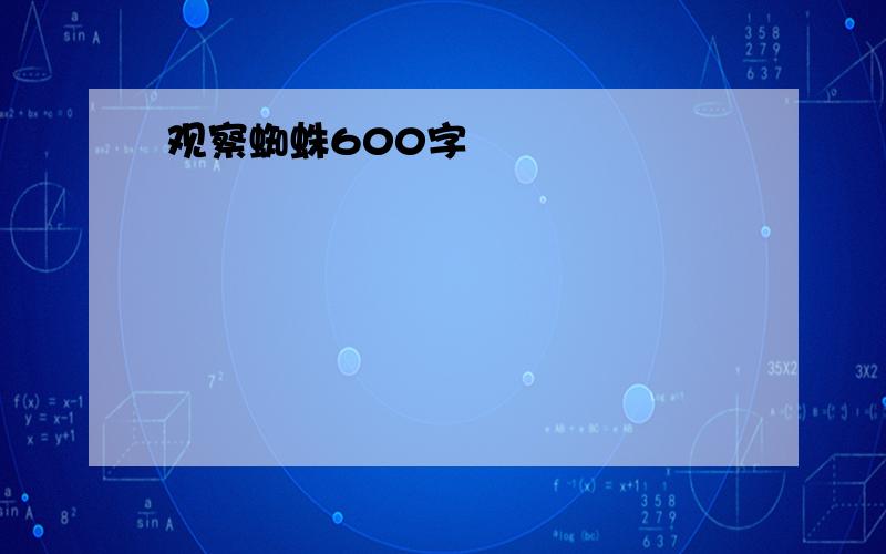 观察蜘蛛600字