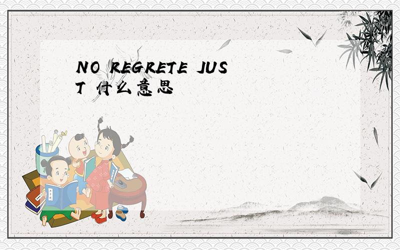 NO REGRETE JUST 什么意思