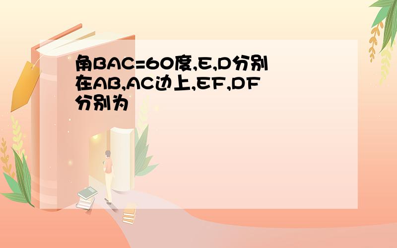 角BAC=60度,E,D分别在AB,AC边上,EF,DF分别为