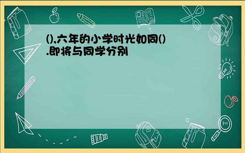 (),六年的小学时光如同().即将与同学分别