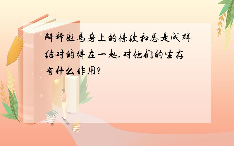 解释斑马身上的条纹和总是成群结对的待在一起,对他们的生存有什么作用?