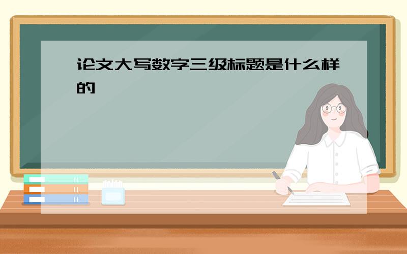 论文大写数字三级标题是什么样的