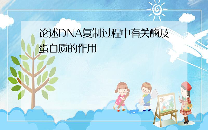 论述DNA复制过程中有关酶及蛋白质的作用