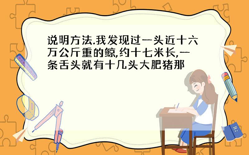 说明方法.我发现过一头近十六万公斤重的鲸,约十七米长,一条舌头就有十几头大肥猪那