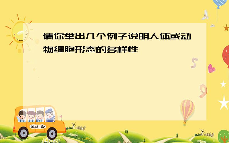 请你举出几个例子说明人体或动物细胞形态的多样性