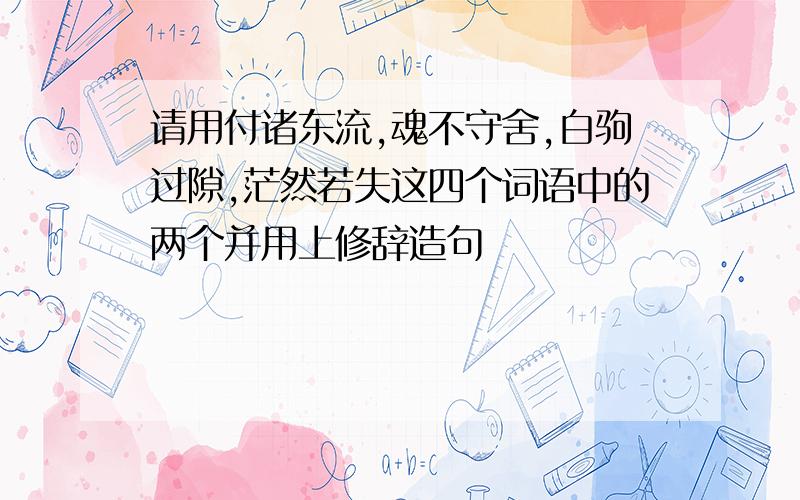 请用付诸东流,魂不守舍,白驹过隙,茫然若失这四个词语中的两个并用上修辞造句