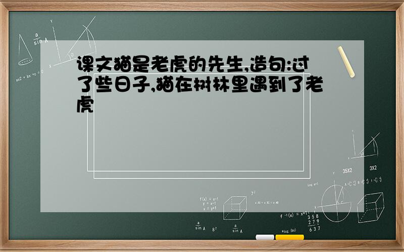 课文猫是老虎的先生,造句:过了些日子,猫在树林里遇到了老虎