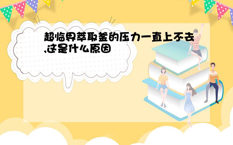 超临界萃取釜的压力一直上不去,这是什么原因