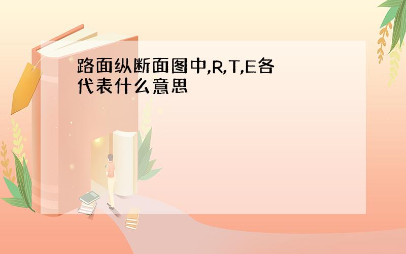 路面纵断面图中,R,T,E各代表什么意思