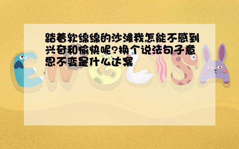 踏着软绵绵的沙滩我怎能不感到兴奋和愉快呢?换个说法句子意思不变是什么达案