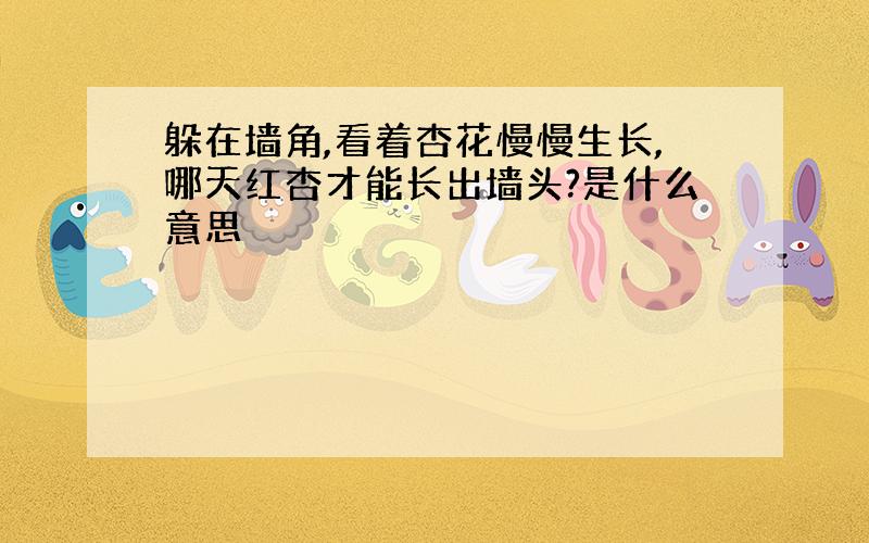 躲在墙角,看着杏花慢慢生长,哪天红杏才能长出墙头?是什么意思