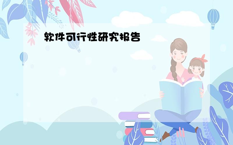 软件可行性研究报告