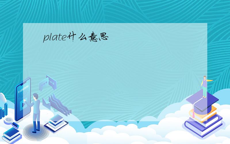 plate什么意思