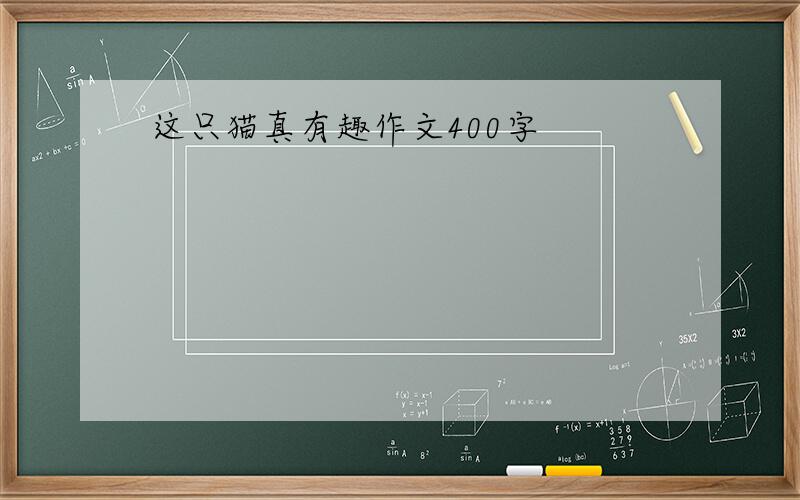 这只猫真有趣作文400字