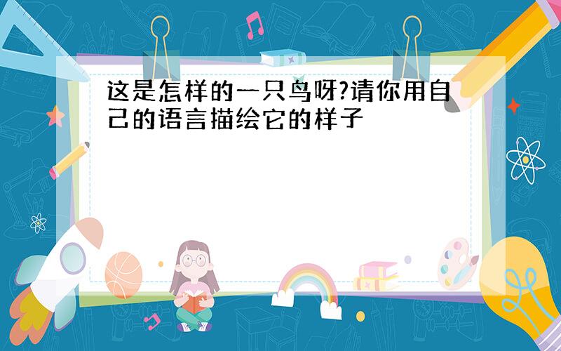 这是怎样的一只鸟呀?请你用自己的语言描绘它的样子