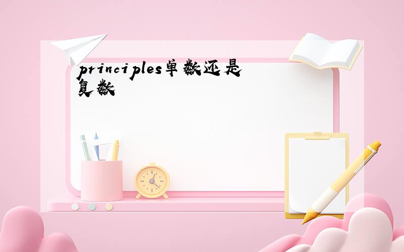 principles单数还是复数