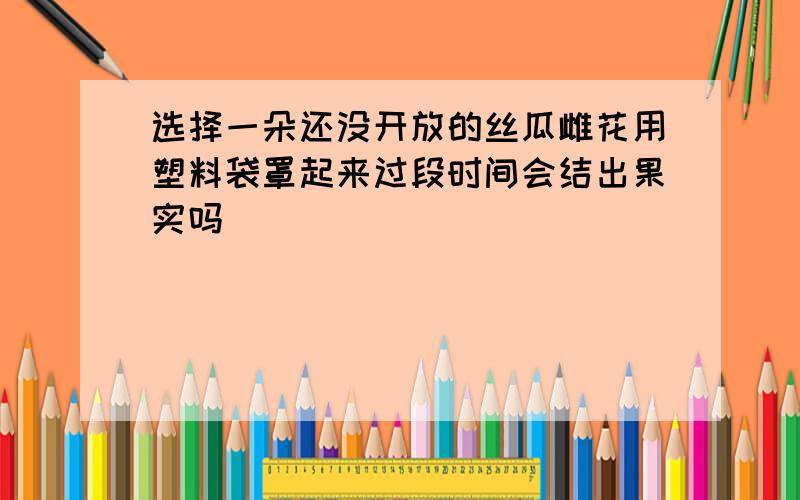 选择一朵还没开放的丝瓜雌花用塑料袋罩起来过段时间会结出果实吗