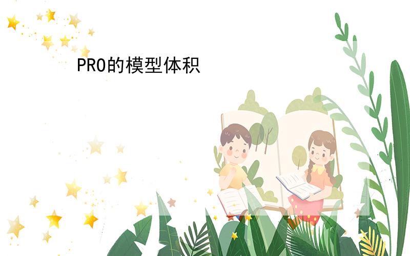 PRO的模型体积