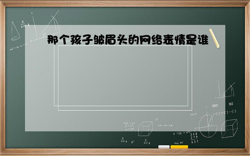 那个孩子皱眉头的网络表情是谁