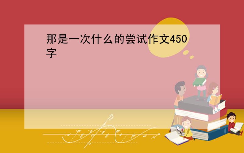 那是一次什么的尝试作文450字